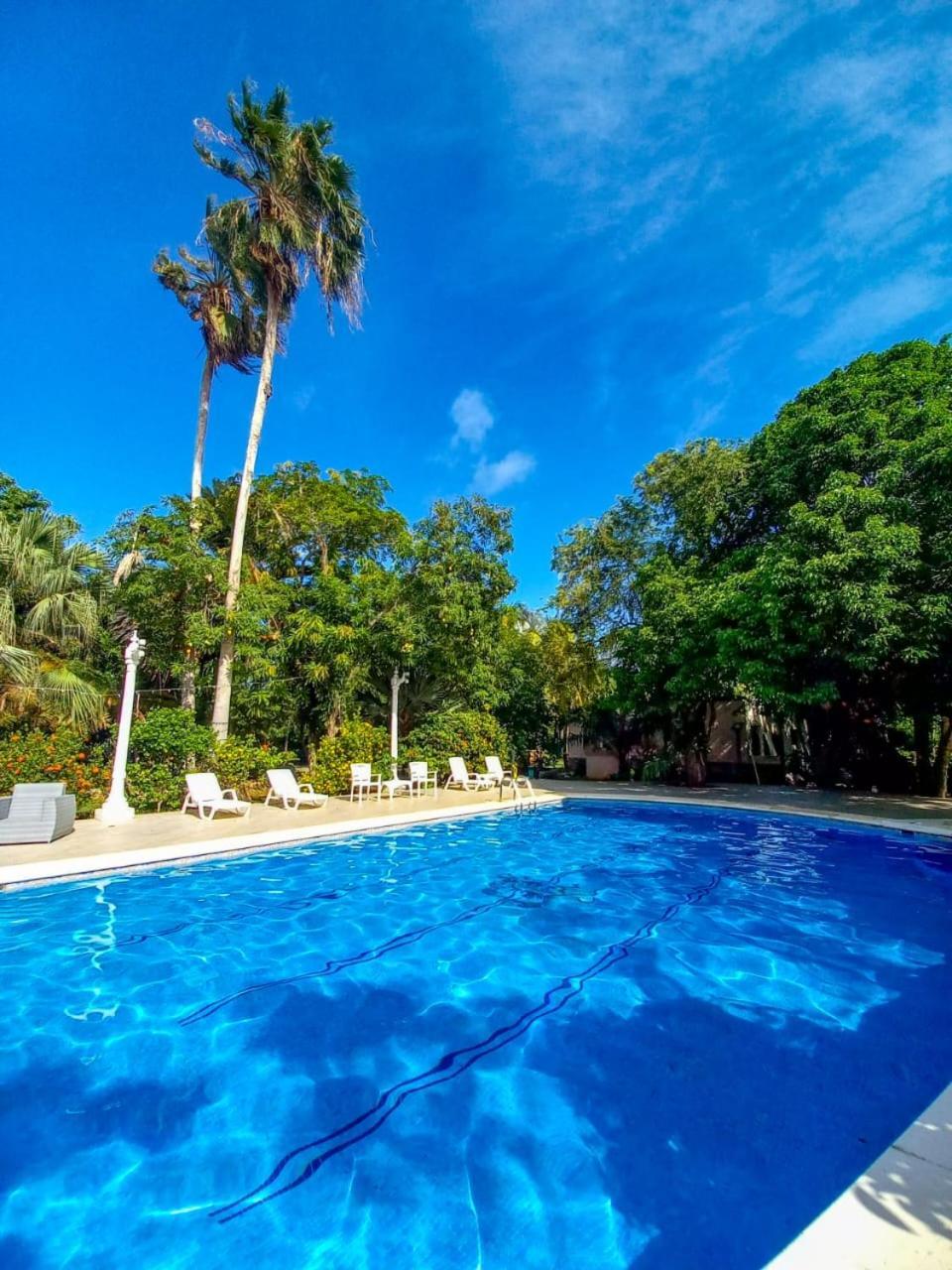 Casa Las Palmas Hotel Boutique San Andrés Εξωτερικό φωτογραφία